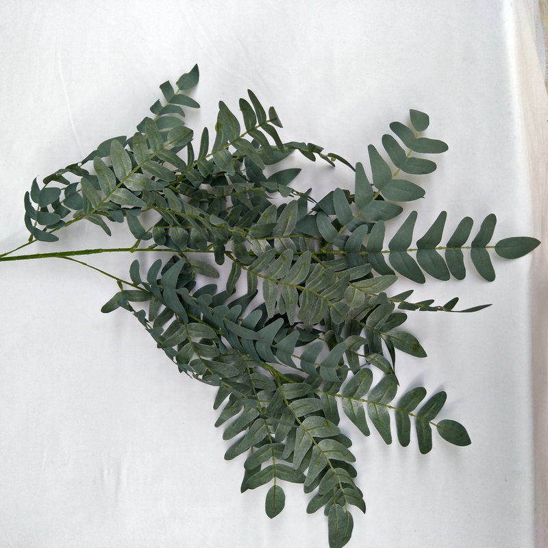 N°1 Gris-vert