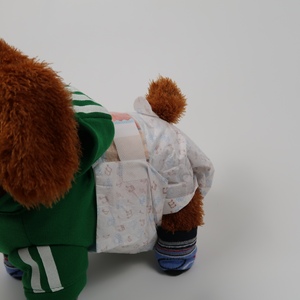 सबसे अच्छा कुत्ता अंडरवियर के लिए गर्मी पेट बैंड कुत्ते पुरुष असंयम के लिए - Product Image 4