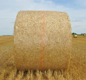 Lavorato a maglia bale <span class=keywords><strong>wrap</strong></span> netto/insilato pressa per balle di fieno di compensazione <span class=keywords><strong>wrap</strong></span>/fieno netto <span class=keywords><strong>wrap</strong></span>