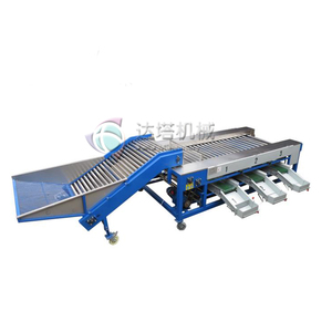 การปรับแต่งผลไม้เกรดไฟฟ้า/สายการเลือกสำหรับ Avocato - Product Image 1