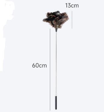 0,73 m