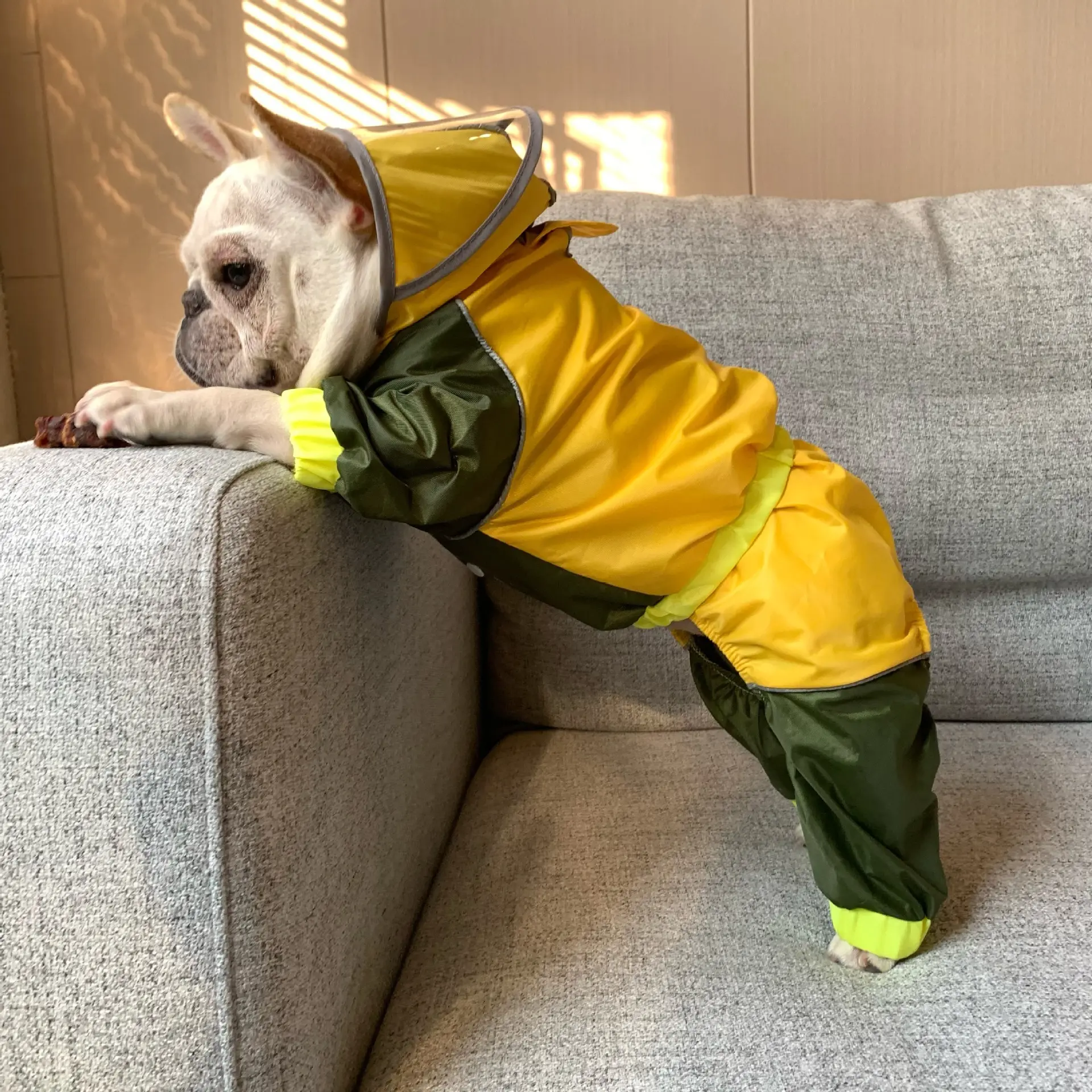 Dog Storm Suit Hoher Kragen Goldwolle Labrador Wasserdichte Big Dog Kleidung Vierbeiniger Regenmantel mit Kapuze