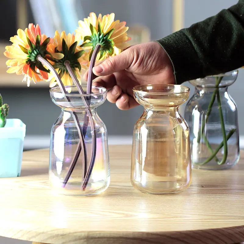 Aurora sifônia de vidro transparente, garrafa de vidro simples, arranjo de flores, decoração de mesa, vaso de vidro