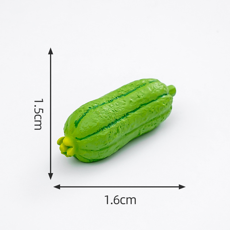 colorido 11.Esponja vegetal (loofah)
