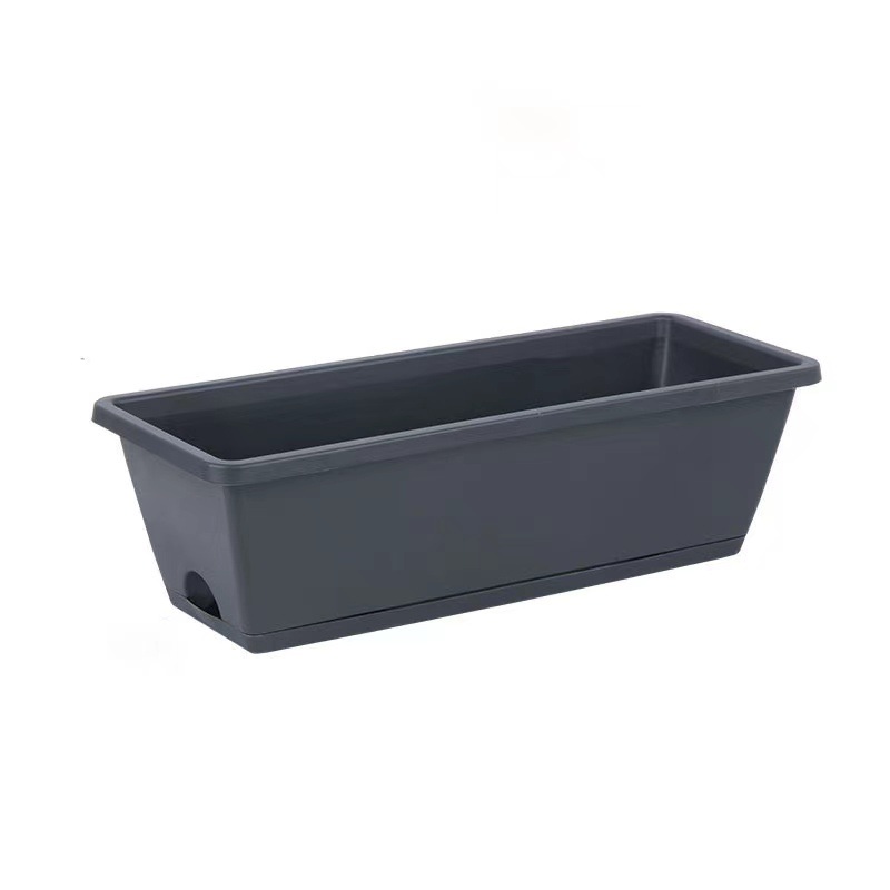 Gris foncé + cato