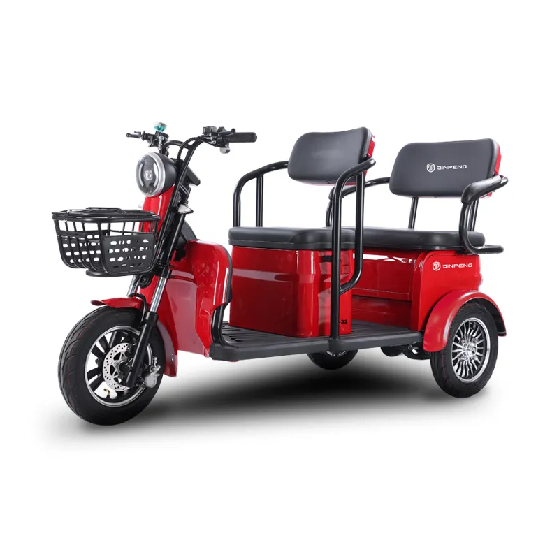 Tricycle de mobilité électrique à trois roues pour passager aîné Tricycle Eec Rickshaw Cargo Vehicle Steel Hebei 60V Brushless