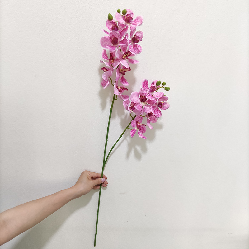 rose foncé