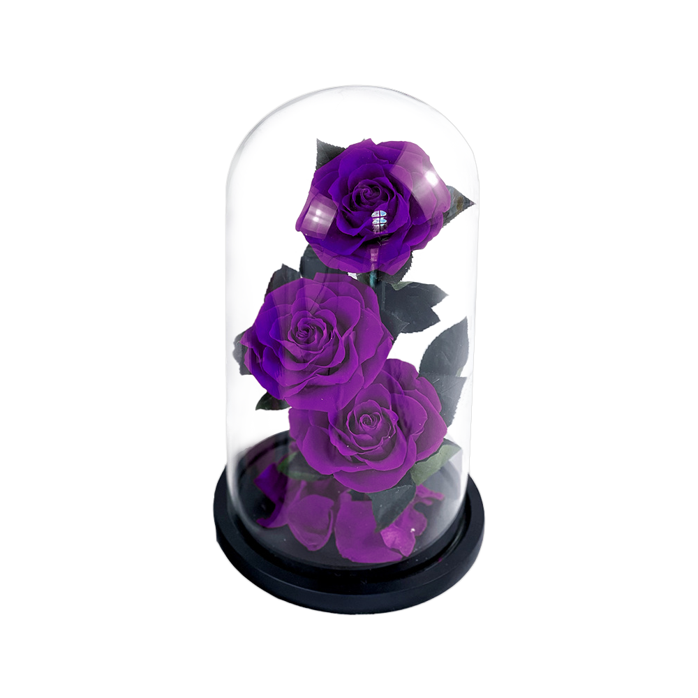 3 rose viola