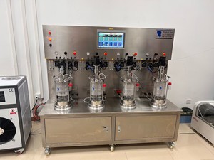 Recipiente di fermentazione in vetro BLBIO-GC bioreattore in vetro fermentatore da 5 litri - Product Image 4