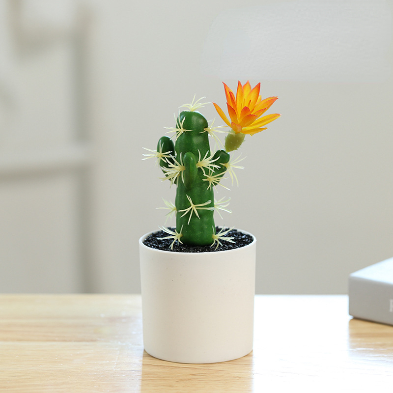 Planta en maceta pequeña