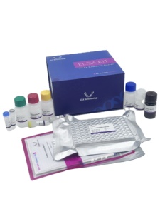 Human ENPP2(Ectonucleotide <strong>Pyrophosphatase</strong>/Phosphodiesterase 2) ELISA Kit for Research Use - Product Image 2