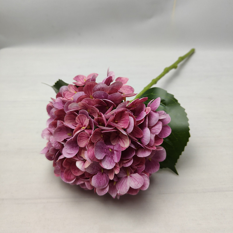 Rose profond