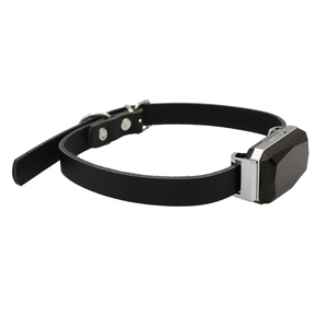Wholesales 2G tracker for Cat <strong>Smallest</strong> Gps tracker Necklace Pet Gps Mini Collars With Real Time <strong>Tracking</strong> Gps Alarm <strong>System</strong> G15P - Product Image 5