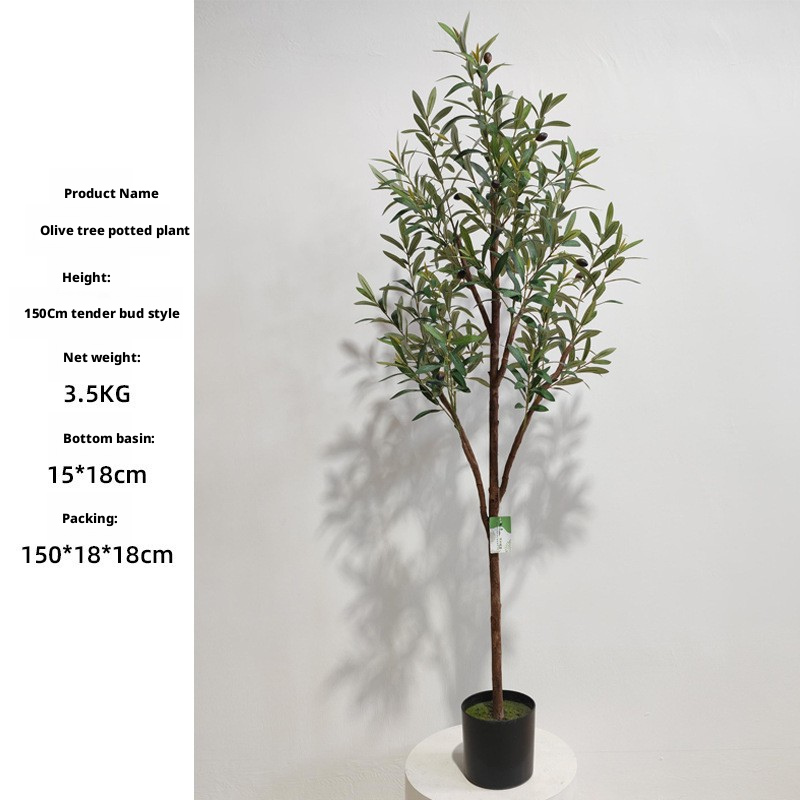 150cm olive tree (sprout style)