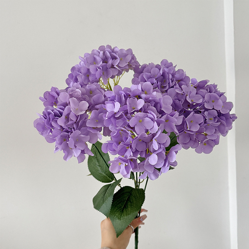 09-Violet foncé