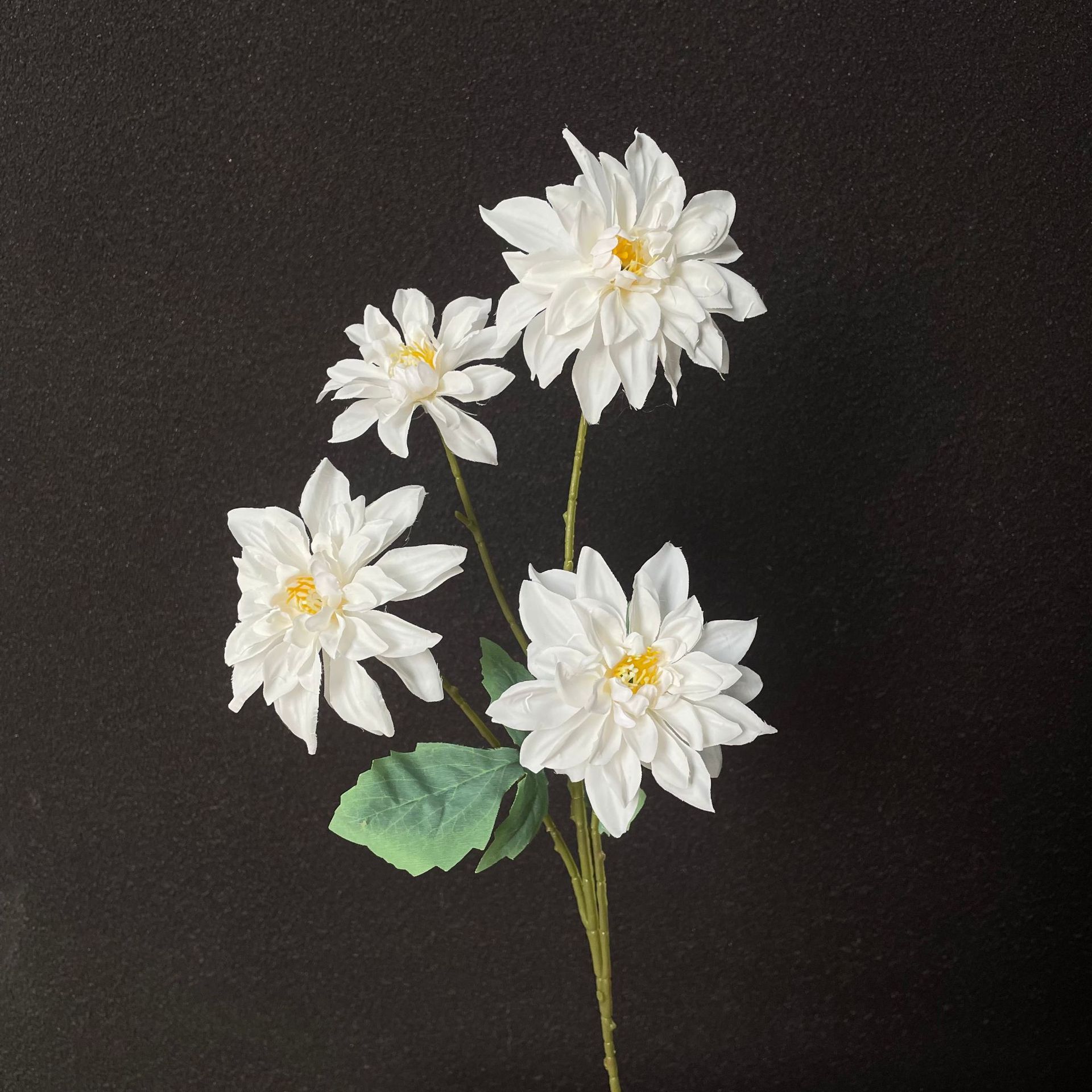 Blanc
