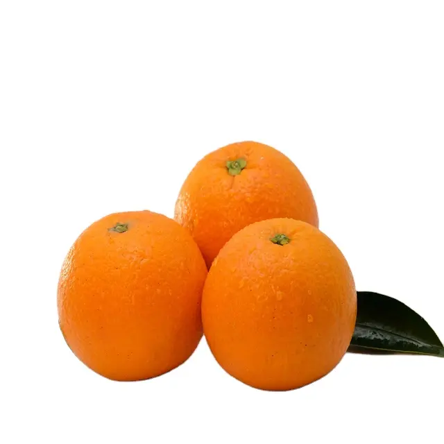 Ombligo-naranja y naranja valencia, frutas frescas