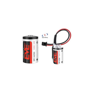 EVE ER14250 Batería de litio 3,6 V ETC Delta PLC Programador Automatización Instrumentación 2AA Batería de litio ER14250 - Product Image 1