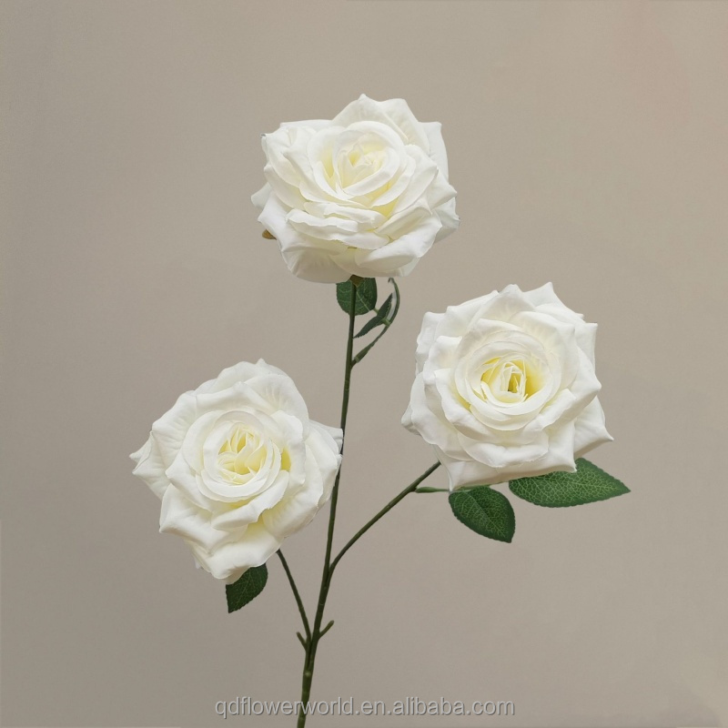 #13 Blanc de lait
