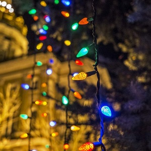 8 Funktionale 5M 50 <span class=keywords><strong>LED</strong></span> Erdbeer Lichterkette für Weihnachts fest Garten Baum Dekor IP44 Outdoor Kunststoff C6 Lichterketten