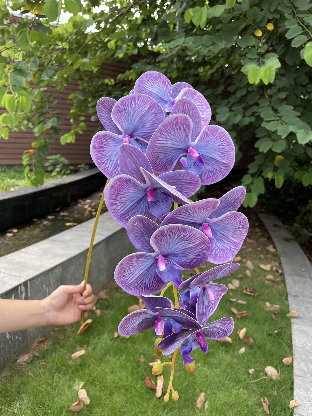 #7 Purple Blue