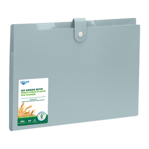 Confezione da 5 cartelle per fisarmonica, materiale paglia ecologico - Product Image 3