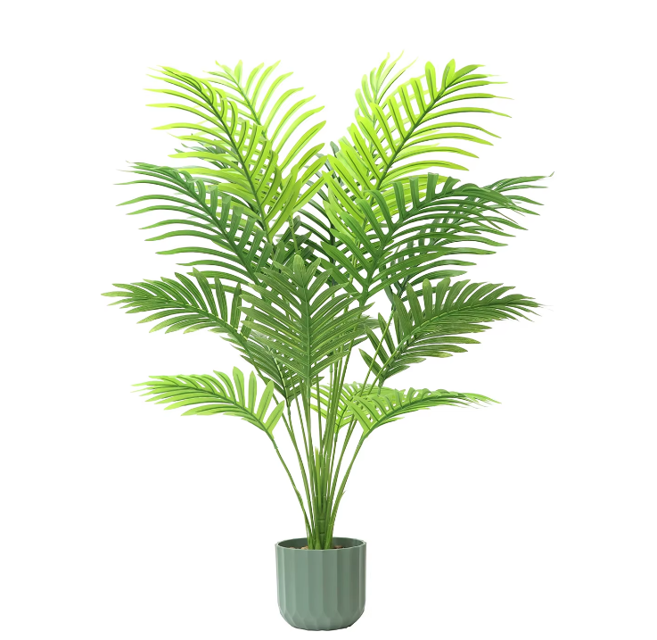 Palmier Areca 90cm