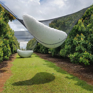 Landwirtschaft Landwirtschaft Kunststoff Pe Netting Vogelschutz Anti Hagel Netz Netze Abdeckung für Farm Farming Trauben Apfelbaum Bäume - Product Image 5