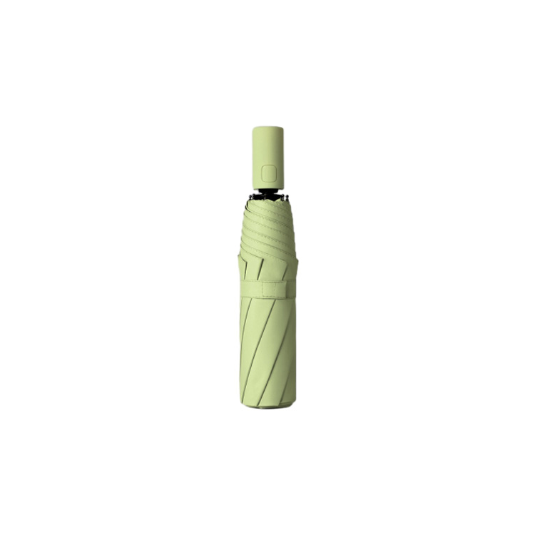 Light green (Automatic Version)