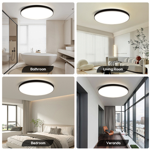 モダンな屋内表面実装LEDシーリングライト装飾器具天井照明/シーリングライトLED/LEDシーリングライト