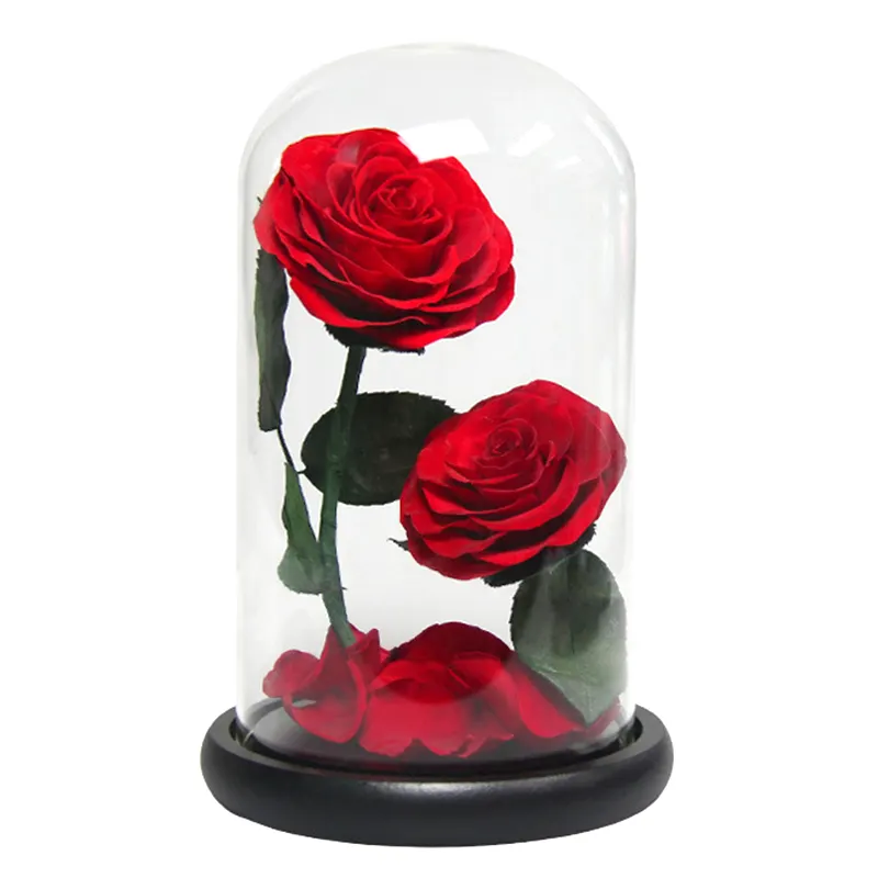 UO vente en gros, 14x23cm, vraies roses éternelles conservées dans un dôme en verre pour la fête des mères, cadeaux de saint-valentin, décor