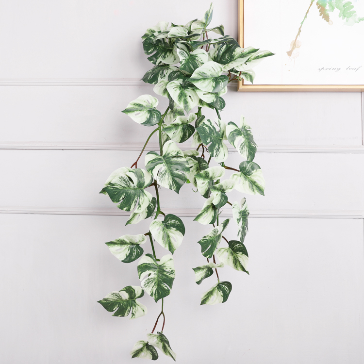 5(90cm)
