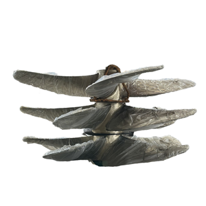 OEM tùy chỉnh mới thuyền và Marine cánh quạt cho sản xuất và hiệu quả tàu động cơ đẩy - Product Image 2