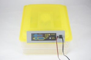 Yumurta kuluçka sıcaklık ve nem kontrol aleti güneş enerjisi kanatlı çiftlikleri tavuk yumurtası inkübatörü güneş sıcak çocuk tavuk 7.35 - Product Image 5