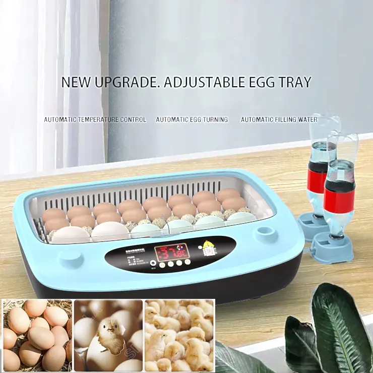 16 uova automatiche che girano incubatrice da cova di pollo incubatrice per uova di quaglia anatra di pollo in vendita