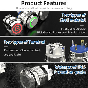 Anti-Vandal IP65 ledli basmalı düğme anahtarı 6V 12V 16mm halka aydınlatma ile 19mm basın anahtarları Momentary düz anahtarı anlık kontrol - Product Image 2