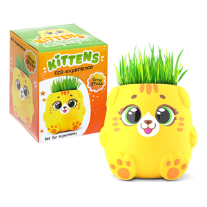 Büyüyen çim için eko-deneylerin çocuklar için ilk eko-deneyim kiti en çok satan fiyat sarı yavru - Product Image 1