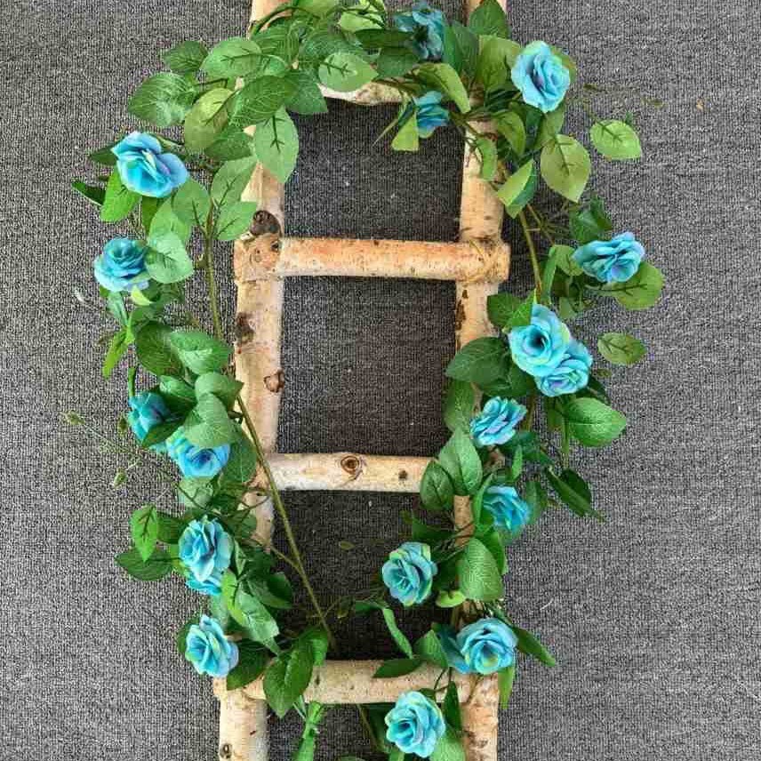 France-Blue