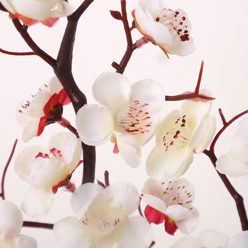 Fleur de prunier unique dans deux vases