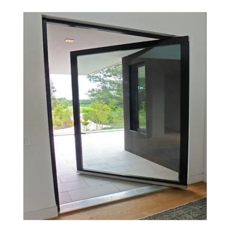 Aluminum Alloy Frame Pivot Door Luxury Design Entrance Glass Exterior Door