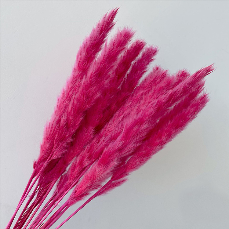 Bouquet d'herbe de pampa 5