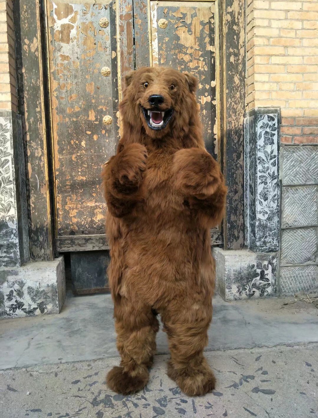 Standing brown bear