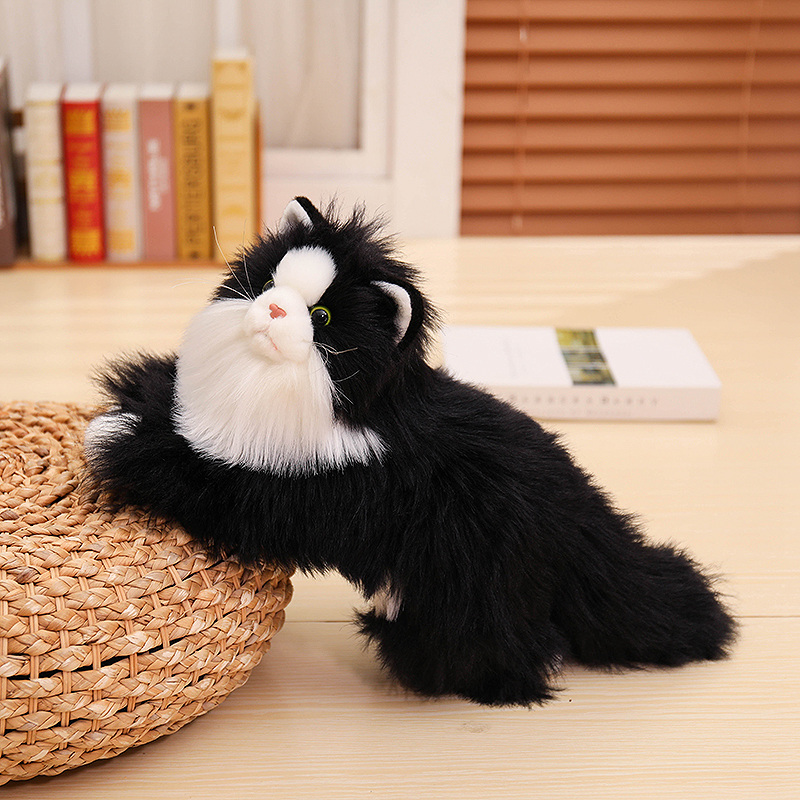 Chat noir et blanc