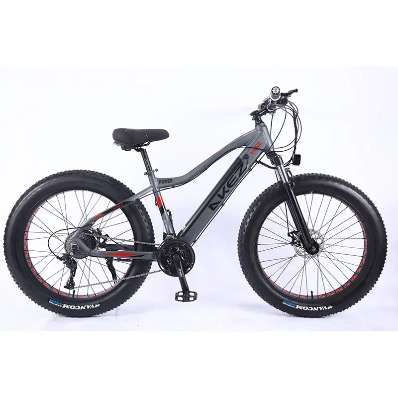 AKEZ-دراجة كهربائية قوية, دراجة كهربائية قوية 26 '27.5 ''29'' دراجة ذات عجلات ضخمة 750 وات 48 فولت/13AH بطارية دراجة كهربائية بشاطئ الثلوج دراجة جبلية