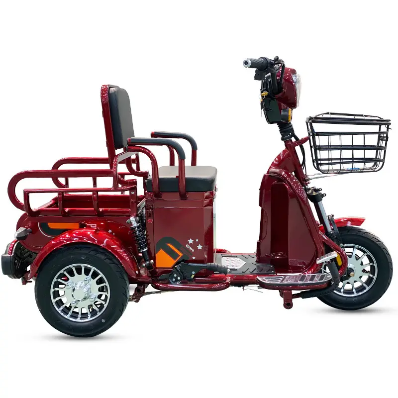 Vélo à moteur avec service personnalisé scooter électrique deux places pour le transport de passagers tricycle à trois roues pour adultes tricycles motorisés