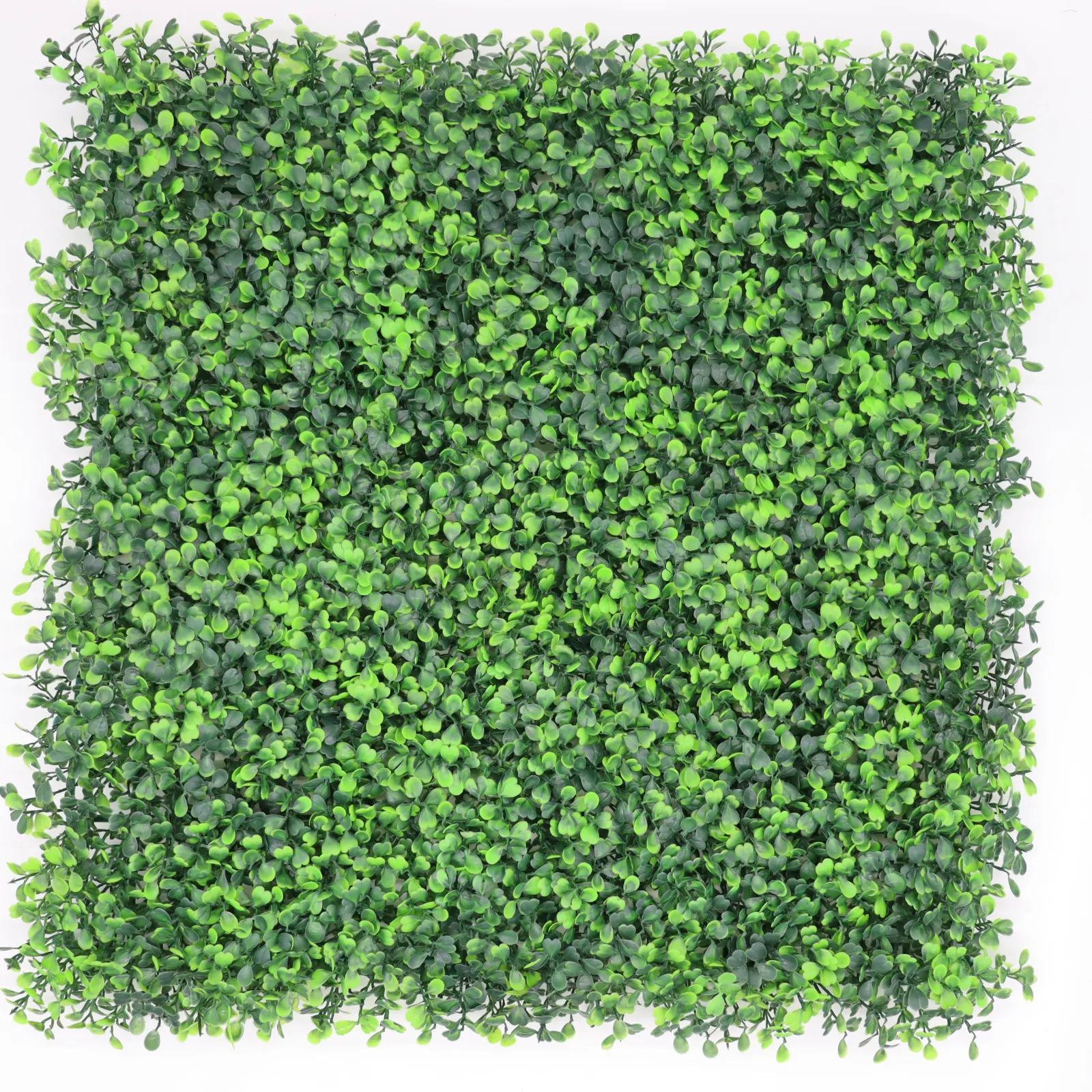 50*50cm UV-Schutz Künstliche Buchsbaum platte Blatt grüne Wand für Garten dekoration Künstliche Hecke Kunststoff zaun