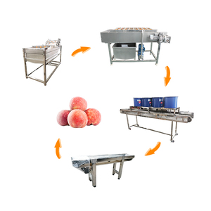 Automatisches Waschen von Gemüse und Obst Wachsen Trocknen Reinigung Verarbeitung Sortiermaschine
