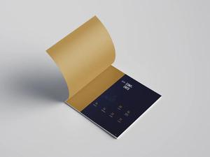 公司手册、旅游指南、软封面书、艺术纸制成、柔性版印刷、带胶版印刷工艺 - Product Image 3