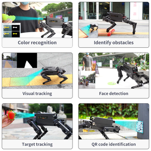 Yahboom Quadruped Bionic Robot köpek AI görsel tanıma fonksiyonları ile Python programlama dayalı ahududu Pi 5