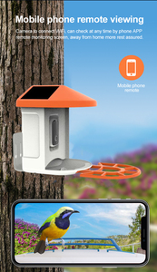 Cámara de alimentación de aves 2024 WiFi al aire libre AI identificar especies de aves captura automática videos Cámara alimentadora de pájaros inteligente Solar - Product Image 4